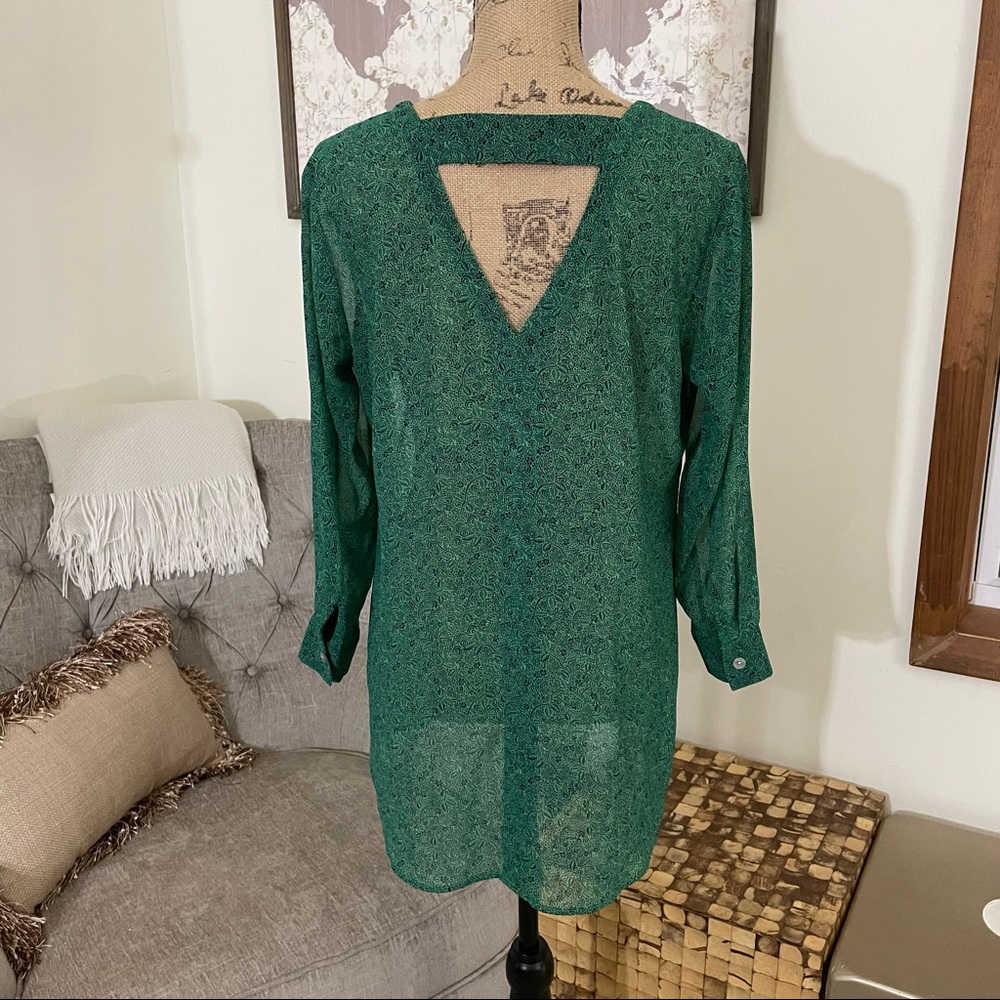 Host Pickcabi Bountiful Blouse - image 4